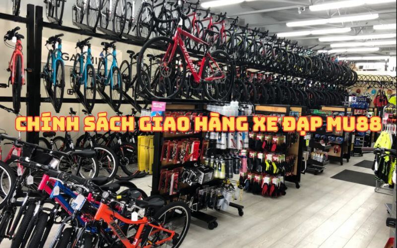 Chính sách giao hàng xe đạp theo đúng quy định